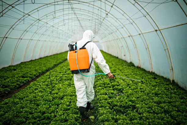 Best Best Pest Control Companies  in Galena, KS