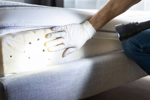 Best Pest Control Near Me  in Galena, KS