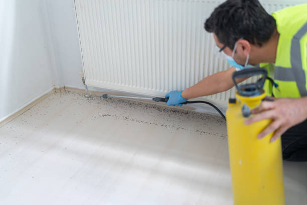 Best Local Pest Control Services  in Galena, KS